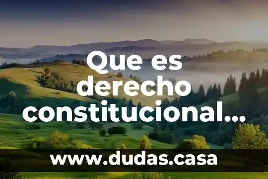 Que es derecho constitucional segun kelsen