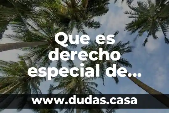 Que es derecho especial de giro fmi