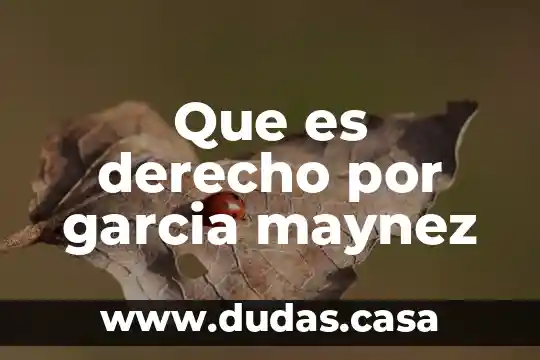Que es derecho por garcia maynez