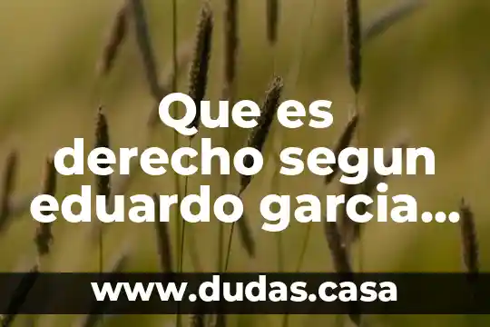 Que es derecho segun eduardo garcia mayes