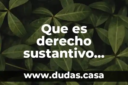Que es derecho sustantivo segun garcia maynez