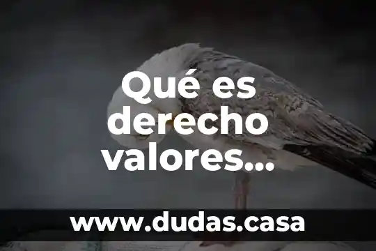 Qué es derecho valores democráticos y cultura de la violencia
