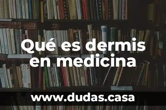 Qué es dermis en medicina