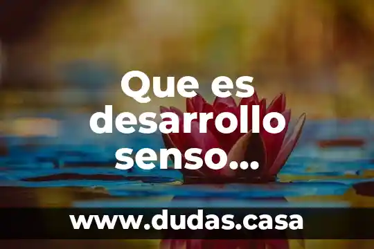 Que es desarrollo senso perceptivo