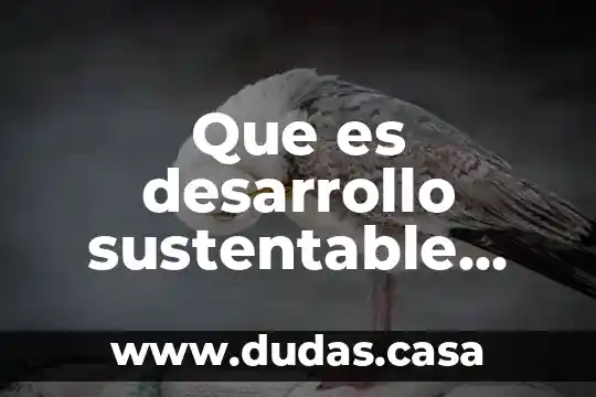 Que es desarrollo sustentable ecologia