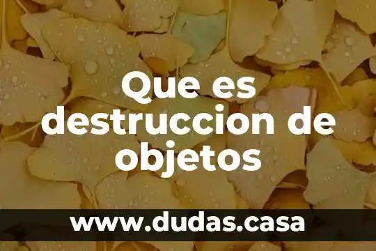 Que es destruccion de objetos
