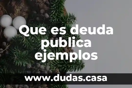 Que es deuda publica ejemplos