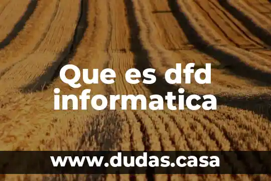 Que es dfd informatica