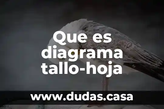 Que es diagrama tallo-hoja
