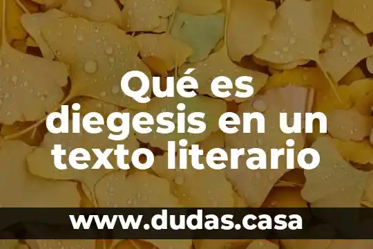 Qué es diegesis en un texto literario