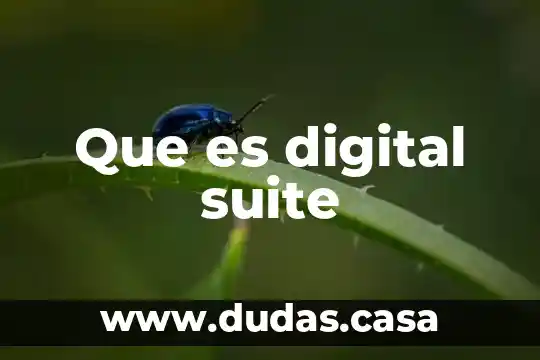 Que es digital suite