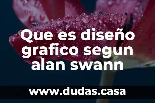Que es diseño grafico segun alan swann