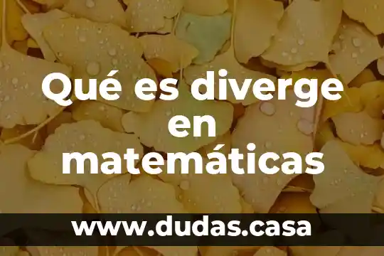 Qué es diverge en matemáticas