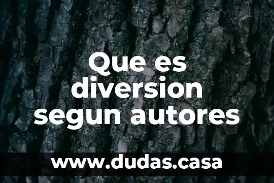 Que es diversion segun autores