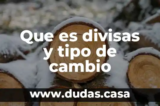 Que es divisas y tipo de cambio