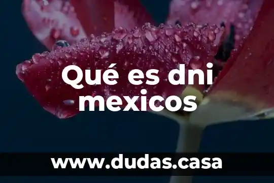 Qué es dni mexicos