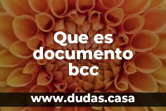 Que es documento bcc