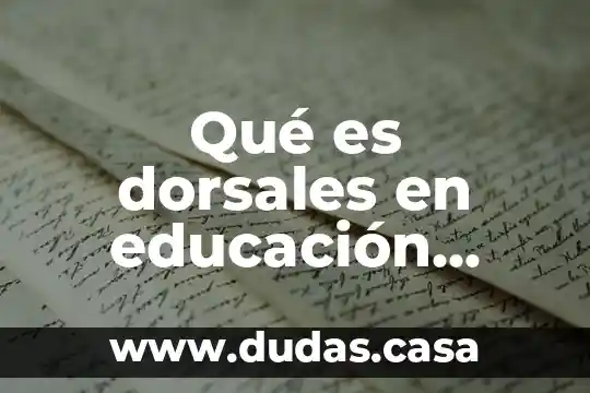 Qué es dorsales en educación física