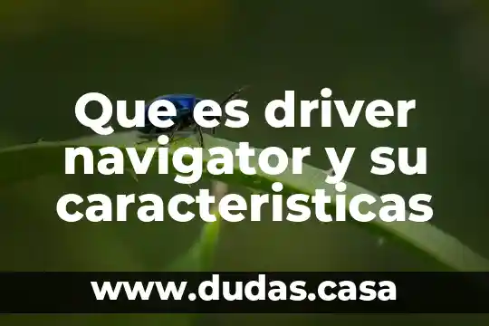 Que es driver navigator y su caracteristicas