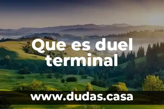 Que es duel terminal