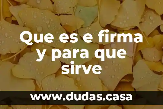 Que es e firma y para que sirve