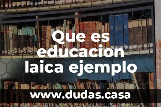 Que es educacion laica ejemplo