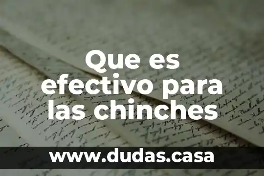 Que es efectivo para las chinches