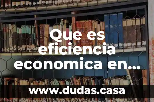 Que es eficiencia economica en macroeconomia