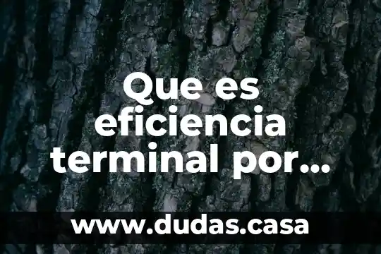 Que es eficiencia terminal por cohorte generacional