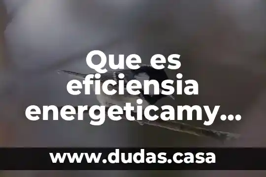 Que es eficiensia energeticamy que papael juegan laspersonas