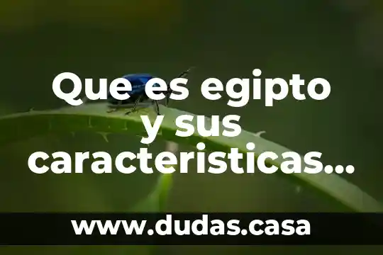 Que es egipto y sus caracteristicas principales