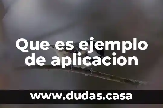 Que es ejemplo de aplicacion