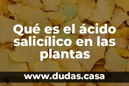 Qué es el ácido salicílico en las plantas