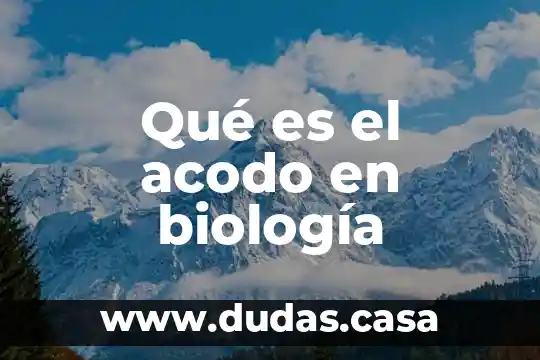 Qué es el acodo en biología