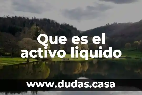 Que es el activo liquido