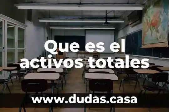 Que es el activos totales