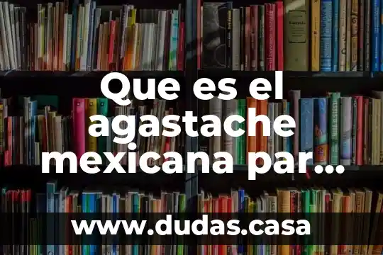 Que es el agastache mexicana par que dirve