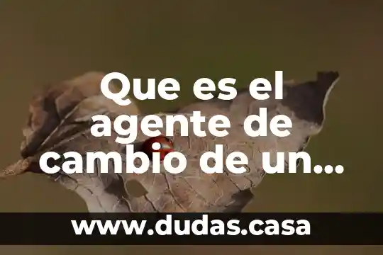 Que es grupo tress internacional 5 Que es el agente de cambio de un grupo