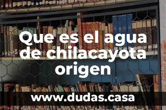 Que es el agua de chilacayota origen