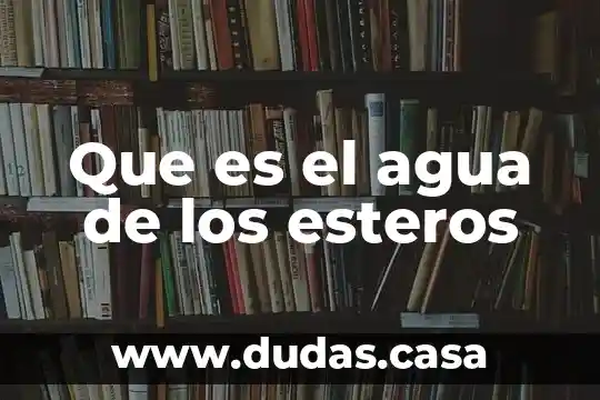 Que es el agua de los esteros