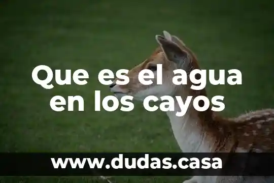 Que es el agua en los cayos