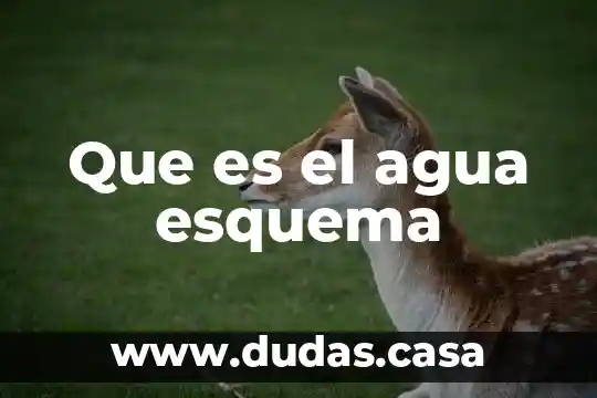 Que es el agua esquema
