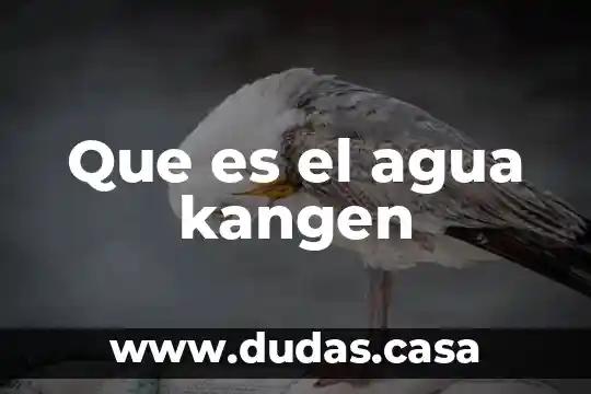 Que es el agua kangen