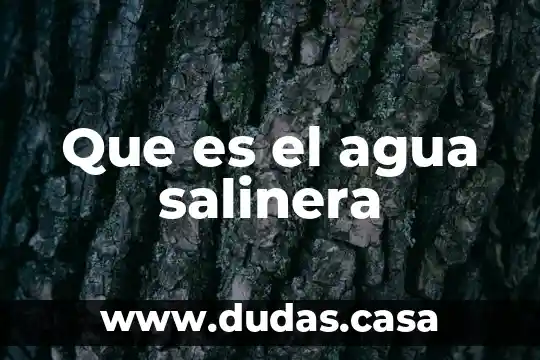 Que es el agua salinera