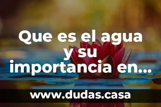 Que es el agua y su importancia en el organismo