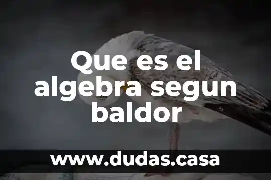 Que es el algebra segun baldor