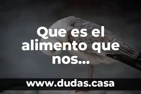 Que es el alimento que nos proporciona maltosa