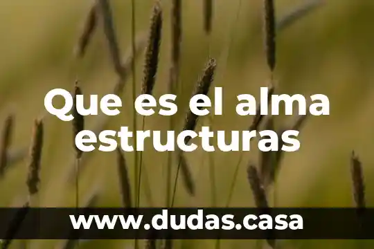 Que es el alma estructuras