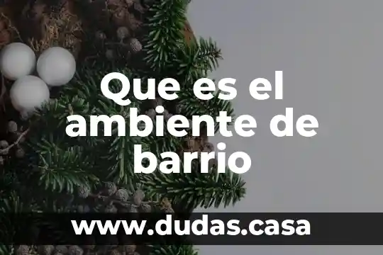 Que es el ambiente de barrio