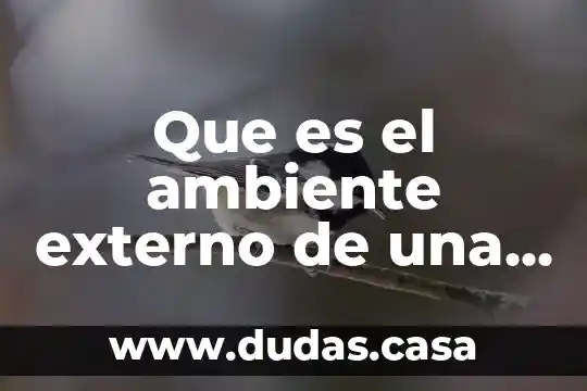 Que es el ambiente externo de una administracion